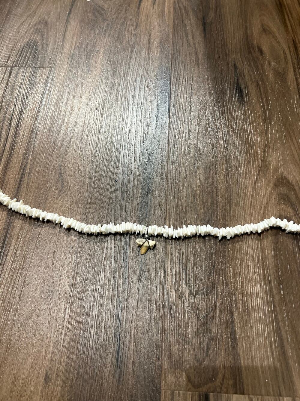 Vintage Shark Tooth Shell Necklace